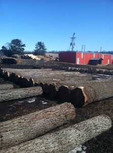 Grau Logs and Lumber